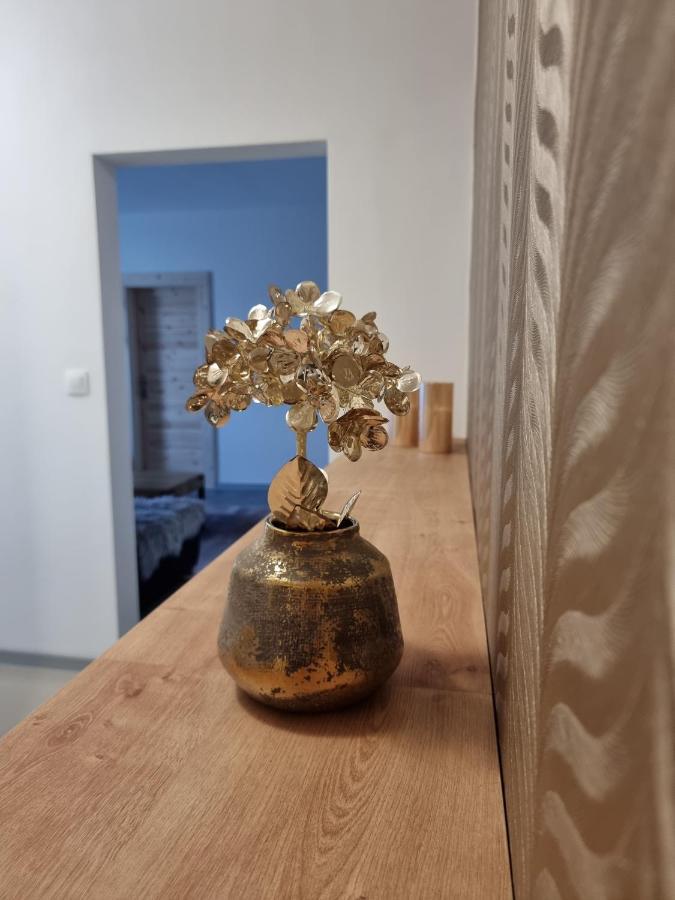 Bivio Apartment Dolna Banska Stiavnica Ngoại thất bức ảnh